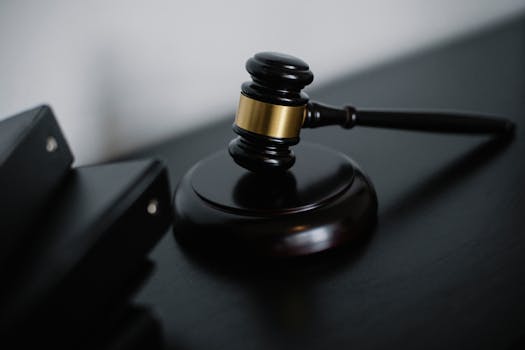 A lawyer presenting a case in court