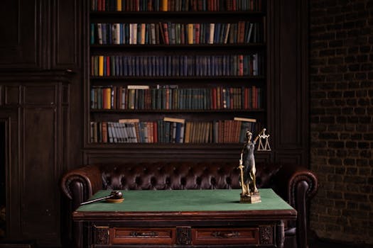 Lawyer studying